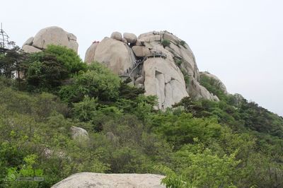 山東嶧山老鷹嘴~通天溝~五華峰~丹丸峰環線IMG_5573